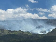 3 bombeiros mortos e 2 feridos no combate a incêndios florestais perto da fronteira Colorado-Utah