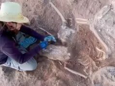 Arqueólogos descobrem soldado romano enterrado dentro de uma fortaleza espanhola de 5.000 anos