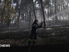 Bombeiros lutam para conter incêndio mortal na Grécia