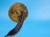 Detentores de Bitcoin receberão moedas grátis lançadas no ar em tentativas de Summer time Fork