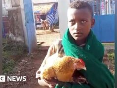 Menino de 12 anos conquista corações depois de tentar internar uma galinha doente em um hospital etíope