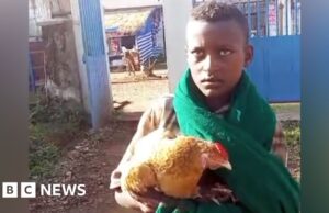 Menino de 12 anos conquista corações depois de tentar internar uma galinha doente em um hospital etíope