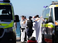 Mulher levada de helicóptero ao hospital com ferimentos graves após ataque de tubarão na standard praia de Sydney