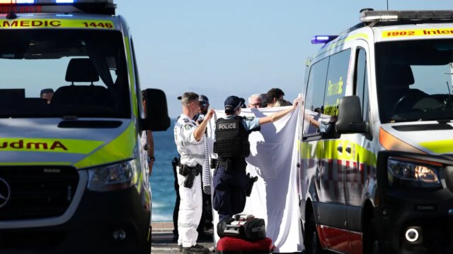 coogee-beach-shark-attack.jpeg