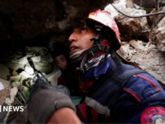 Cães, drones e detectores de som: como as equipes de resgate procuram sobreviventes do terremoto