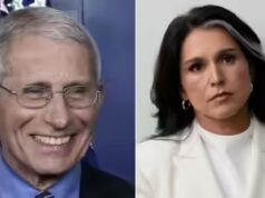 O assessor de Biden financiou o laboratório de Wuhan para ‘manipular’ as avaliações da Covid-19? A afirmação ‘explosiva’ de Tulsi Gabbard