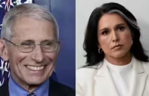 O assessor de Biden financiou o laboratório de Wuhan para ‘manipular’ as avaliações da Covid-19? A afirmação ‘explosiva’ de Tulsi Gabbard