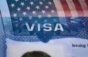 As pessoas ficam chocadas quando eu lhes conto sobre o OPT: o senador da Flórida se transfer para encerrar o caminho para o H-1B