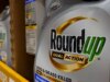 Suprema Corte fica do lado da Monsanto em caso sobre riscos de câncer causados por herbicida