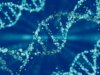 Considerando oferecer um teste de DNA no Dia dos Pais? Este especialista diz para pensar duas vezes