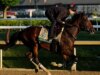 Golden Tempo vence o Belmont Stakes depois de vencer também o Kentucky Derby