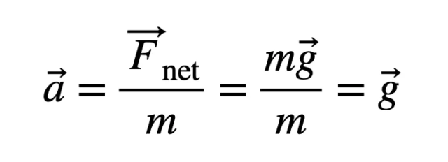 gravaccel.png