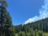 Avião de combate cai no estado de Washington, provocando incêndio