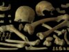 Os últimos neandertais não foram os desastres genéticos que pensávamos