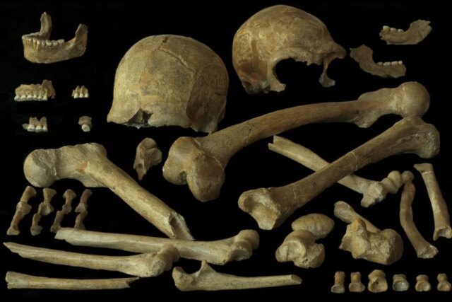 neanderthal-skeletons-1280x853.jpg