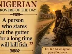 Provérbio nigeriano do dia: "Quem fica muito tempo olhando para a sarjeta vai matar peixes" e uma lição de paciência, persistência e recompensa