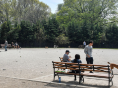 Homem morto, outro crítico após duplo esfaqueamento no parque do Brooklyn enquanto a polícia detinha pessoa de interesse: NYPD