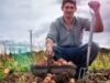 Provérbio alemão da época: “Os agricultores mais estúpidos têm as maiores batatas”