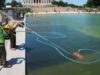 ‘Corte de 250 pés, produtos químicos derramados’: Trump afirma que vândalos danificaram o Reflecting Pool