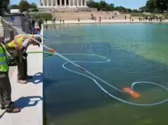 ‘Corte de 250 pés, produtos químicos derramados’: Trump afirma que vândalos danificaram o Reflecting Pool