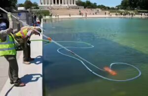 ‘Corte de 250 pés, produtos químicos derramados’: Trump afirma que vândalos danificaram o Reflecting Pool