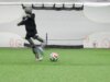 Jogador de futebol robô amassa parede com chutes aterrorizantes