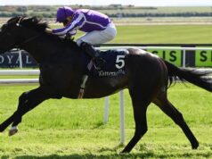 Hoje no Royal Ascot: Bow Echo e Gstaad se enfrentam nas Estacas do Palácio de St James