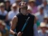 A corrida de Draper em Eastbourne termina na semifinal nas mãos de Humbert