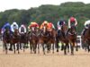 Hoje na Sky Sports activities Racing: Diamond Rain oferece lances duplos para Newcastle