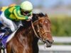 Satono Reve pretendia conquistar a coroa do Jubileu QEII no Royal Ascot