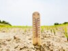Segurança contra ondas de calor: monitore seu risco com esta ferramenta on-line