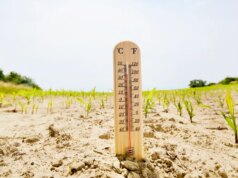 Segurança contra ondas de calor: monitore seu risco com esta ferramenta on-line