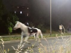 Fogos de artifício supostamente provocam uma debandada em massa de cavalos pelas ruas de Roma, ferindo vários soldados