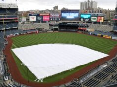 Jogo Yankees-Purple Sox adiado devido ao mau tempo