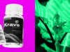 A DEA planeja proibir o composto 7-OH do Kratom semelhante aos opióides