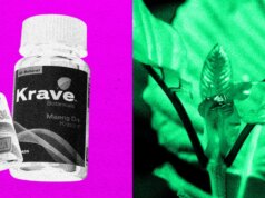 A DEA planeja proibir o composto 7-OH do Kratom semelhante aos opióides