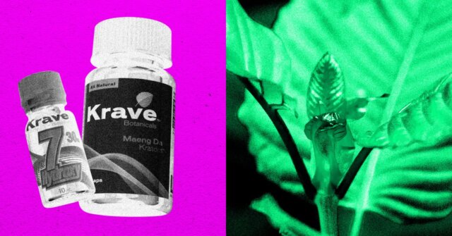 070226_Kratom.jpg