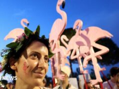 ‘Revolução Flamingo’ decola enquanto milhares exigem a renúncia do primeiro-ministro albanês