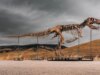 Não posso pagar por este T. Rex em leilão na Sotheby’s. O lance inicial é de US$ 19 milhões