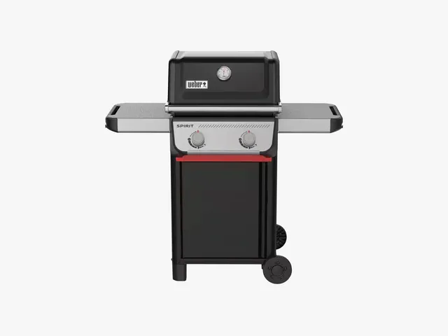 Weber-Spirit-E-210-2-Burner-.jpg