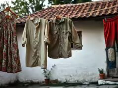 Provérbio búlgaro do dia: "Se você não remendar seu pano velho, você não usará um novo"uma sabedoria milenar sobre gestão