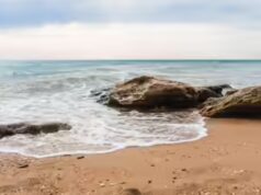 Melhor provérbio do dia: ‘O oceano guarda todos os segredos, mas cobra sal para armazená-lo’