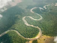 O Rio Congo libera 40 mil metros cúbicos de água doce no Atlântico a cada segundo. Cientistas rastreiam para onde vai