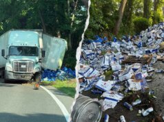 Milhares de latas de cerveja se espalham pela rodovia de Connecticut após capotamento de caminhão