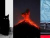Os vencedores do 2026 iPhone Images Awards redefinem a noção de ‘fotos do iPhone’