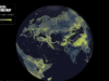 Existe uma rede international de fungos sob seus pés. Este é o primeiro mapa completo