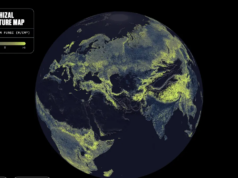 Existe uma rede international de fungos sob seus pés. Este é o primeiro mapa completo