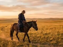 Provérbio mongol da época: ‘Um cavalo conhece o caminho, mesmo que seu cavaleiro não o conheça’