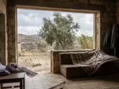 Provérbio palestino da época: ‘Uma casa sem cortinas não pode enfrentar o vento’