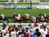 Elmonjed busca riquezas em Deauville